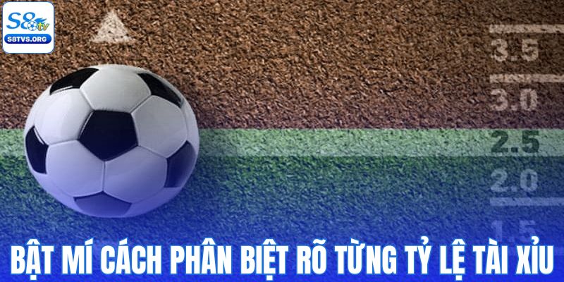 Bật mí cách phân biệt rõ từng tỷ lệ tài xỉu