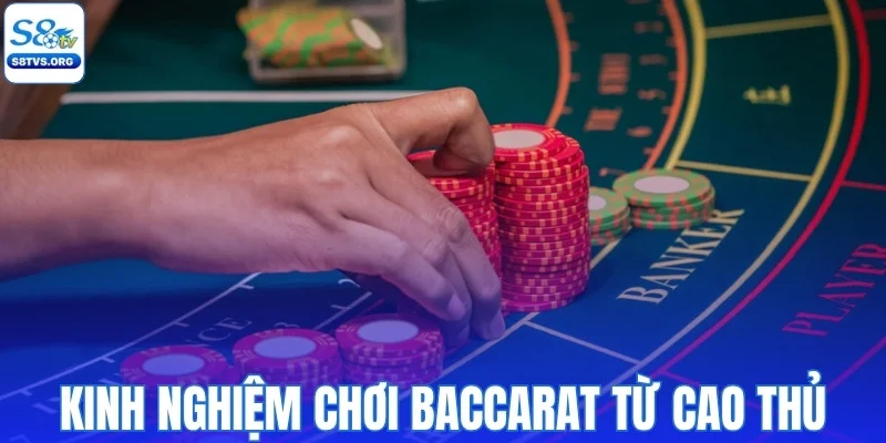 Kinh nghiệm đánh baccarat hay từ cao thủ