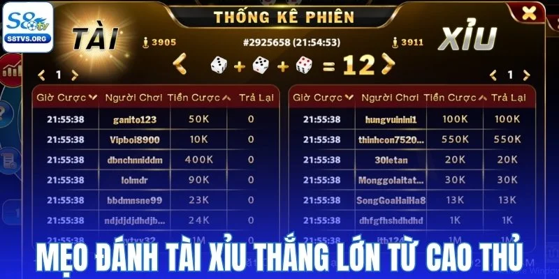 Kinh nghiệm đánh tài xỉu thắng lớn từ cao thủ