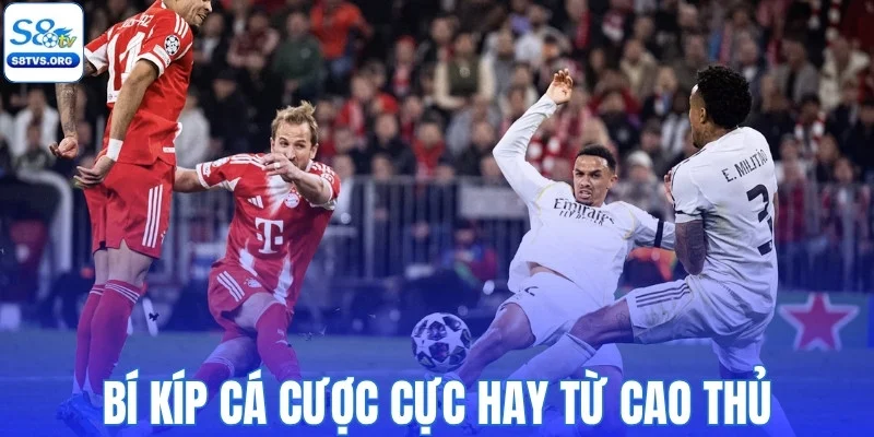 Mẹo cược cực hay từ cao thủ bóng đá