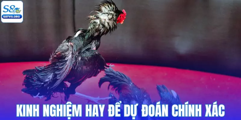 Mẹo hay giúp bạn dự đoán chính xác và chiến thắng