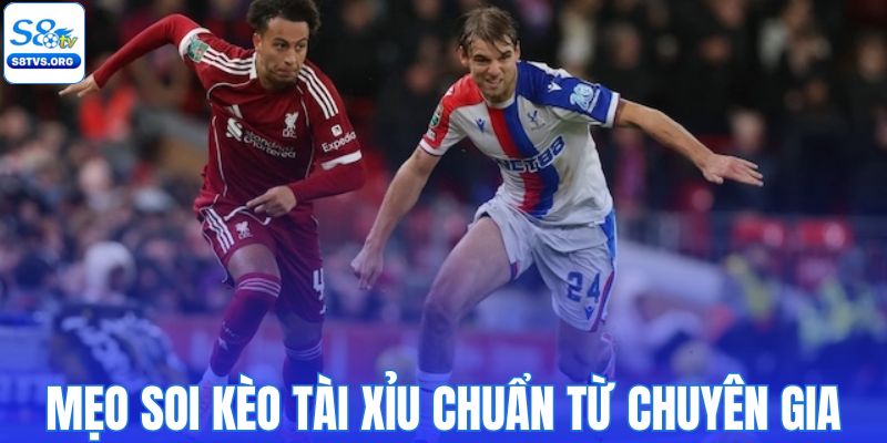 Mẹo soi kèo tài xỉu chuẩn từ chuyên gia