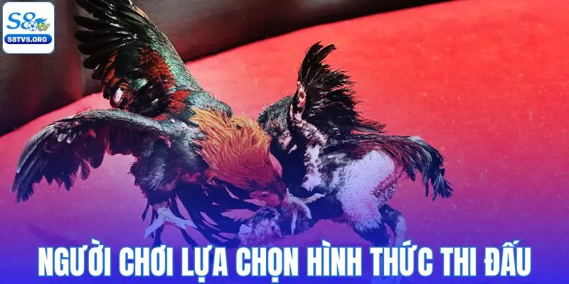 Người chơi được tự do lựa chọn hình thức thi đấu