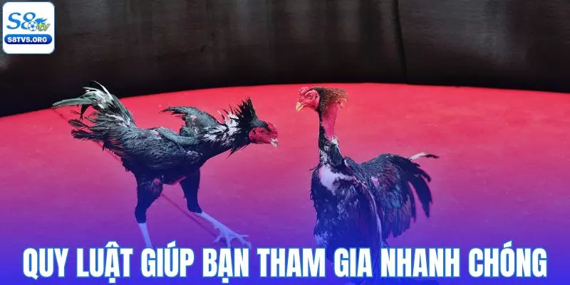 Quy luật cơ bản giúp bạn tham gia nhanh chóng