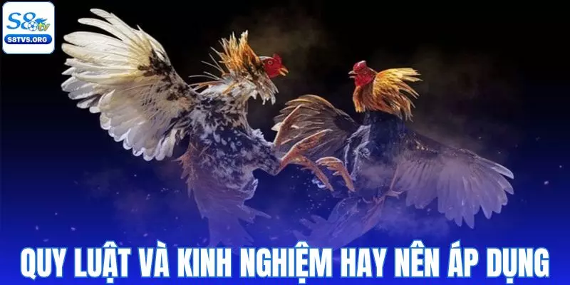 Quy luật tham gia và kinh nghiệm hay nên áp dụng